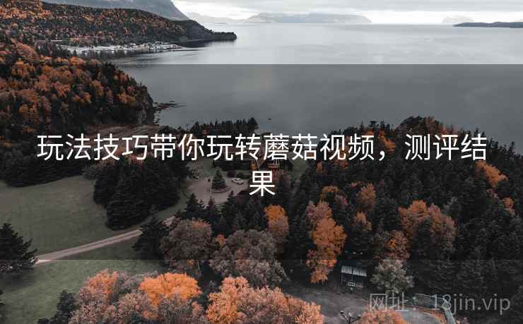 玩法技巧带你玩转蘑菇视频，测评结果