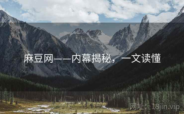 麻豆网——内幕揭秘，一文读懂