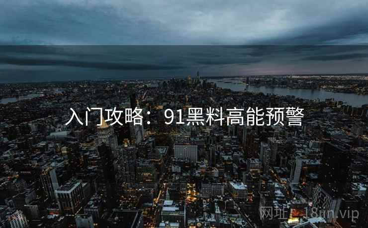 入门攻略：91黑料高能预警