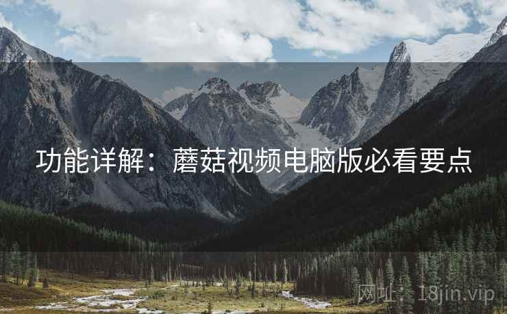 功能详解：蘑菇视频电脑版必看要点