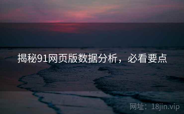 揭秘91网页版数据分析，必看要点