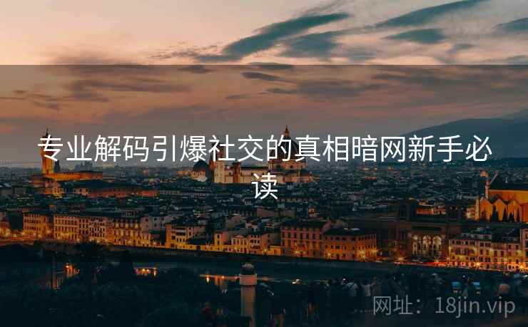 专业解码引爆社交的真相暗网新手必读
