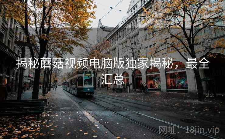 揭秘蘑菇视频电脑版独家揭秘，最全汇总