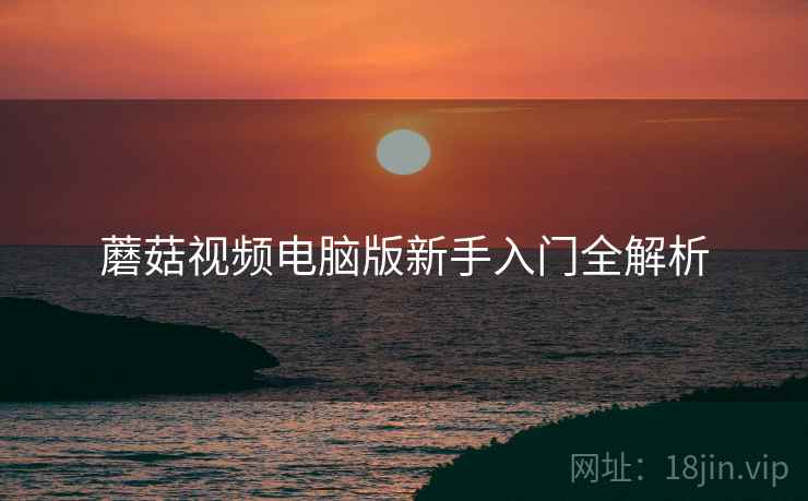 蘑菇视频电脑版新手入门全解析