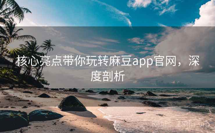核心亮点带你玩转麻豆app官网，深度剖析