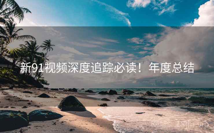 新91视频深度追踪必读！年度总结