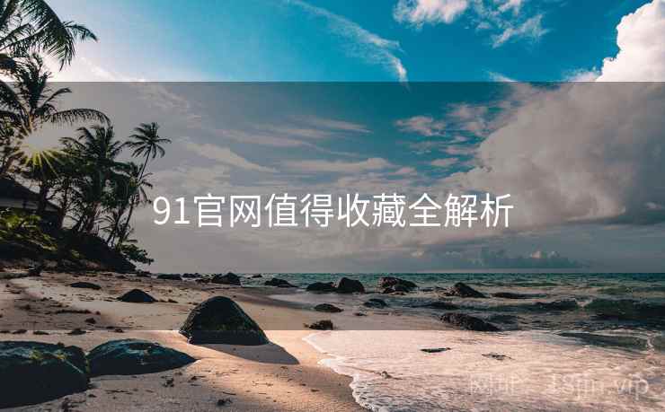 91官网值得收藏全解析