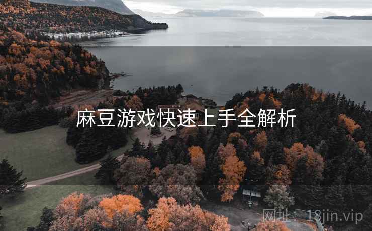 麻豆游戏快速上手全解析