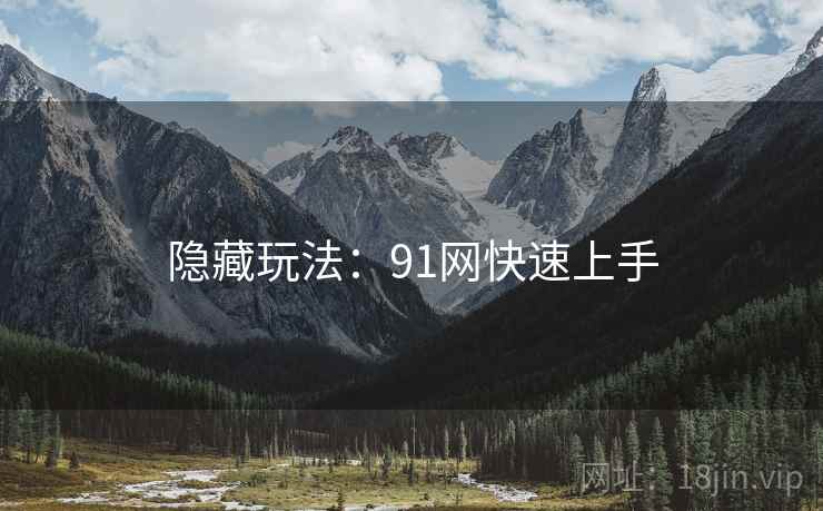 隐藏玩法：91网快速上手