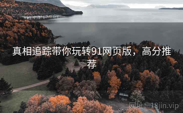 真相追踪带你玩转91网页版，高分推荐