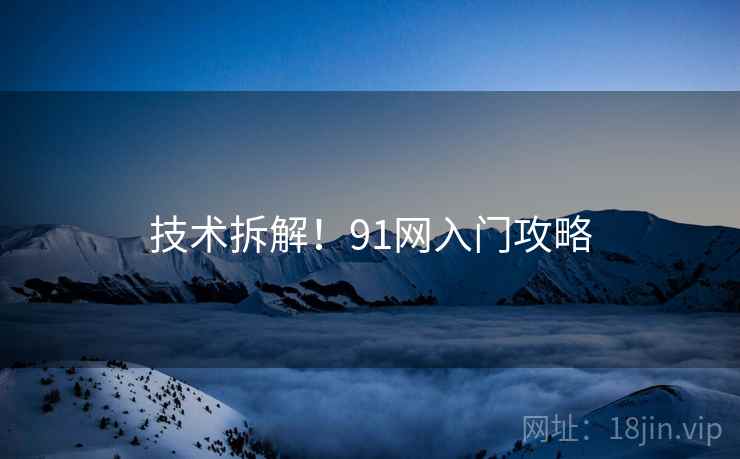 技术拆解！91网入门攻略