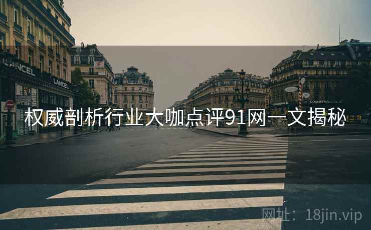 权威剖析行业大咖点评91网一文揭秘