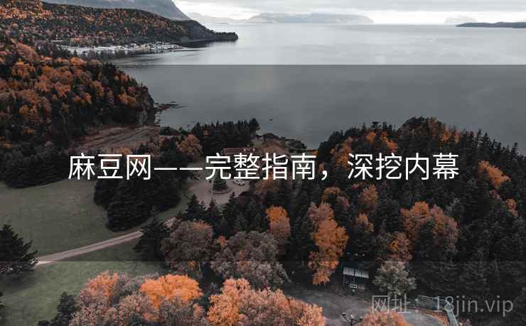 麻豆网——完整指南，深挖内幕