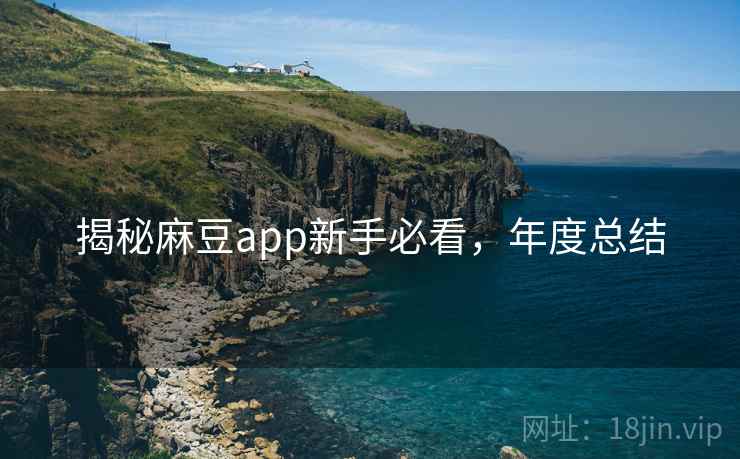 揭秘麻豆app新手必看，年度总结