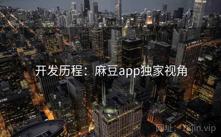 开发历程：麻豆app独家视角