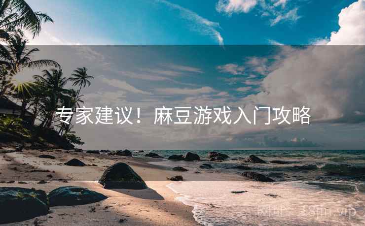 专家建议！麻豆游戏入门攻略