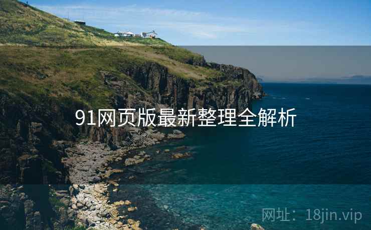 91网页版最新整理全解析