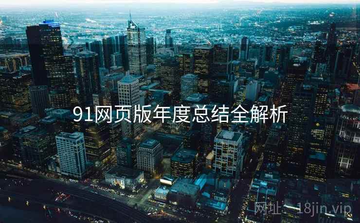 91网页版年度总结全解析