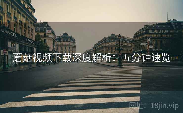 蘑菇视频下载深度解析：五分钟速览